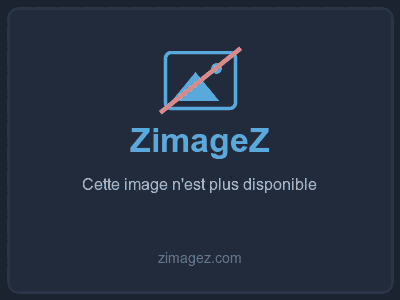 2fc20b24eab15c37.jpg